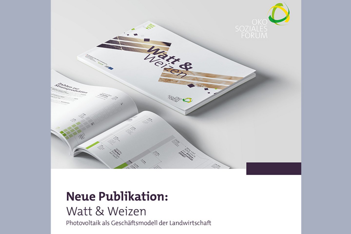 Broschüre Watt & Weizen