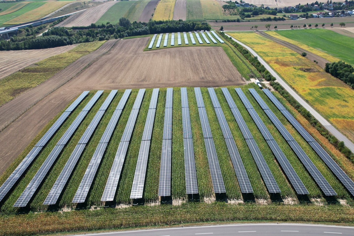 [Translate to Englisch:] Gleich ist Erntezeit auf der Agri-PV-Anlage EWS Pellendorf,  Hybridpark Windenergie und Agri-Photovoltaik